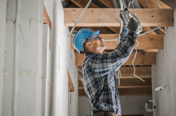 Best Electrical System Inspection  in Caryville, TN